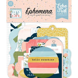 Scrapbooking  Echo Park Day In The Life Cardstock Ephemera 33/Pkg Icons ephemera